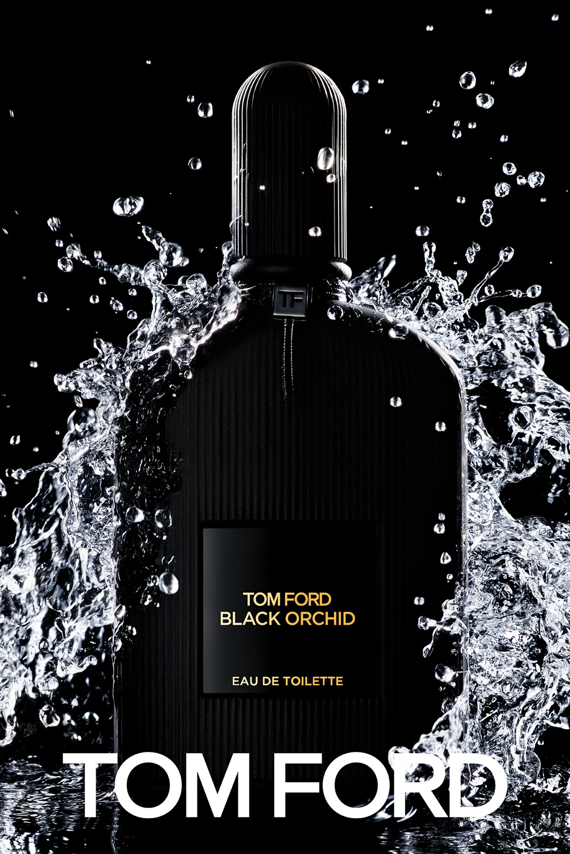 Buy Tom Ford Black Orchid Eau de Toilette for Bloomingdale s UAE